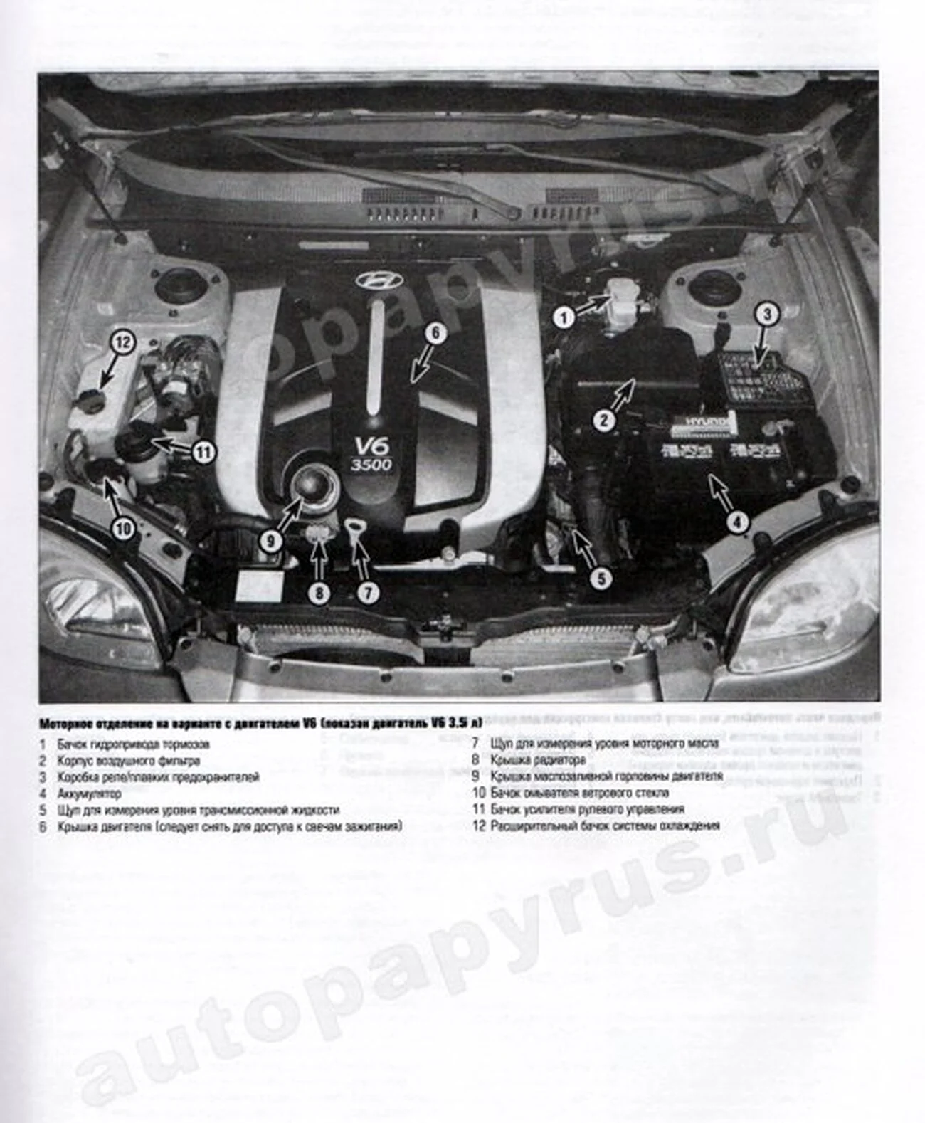 Книга: HYUNDAI SANTA FE  (б) 2001-2006 г.в., рем., экспл., то | Алфамер Паблишинг