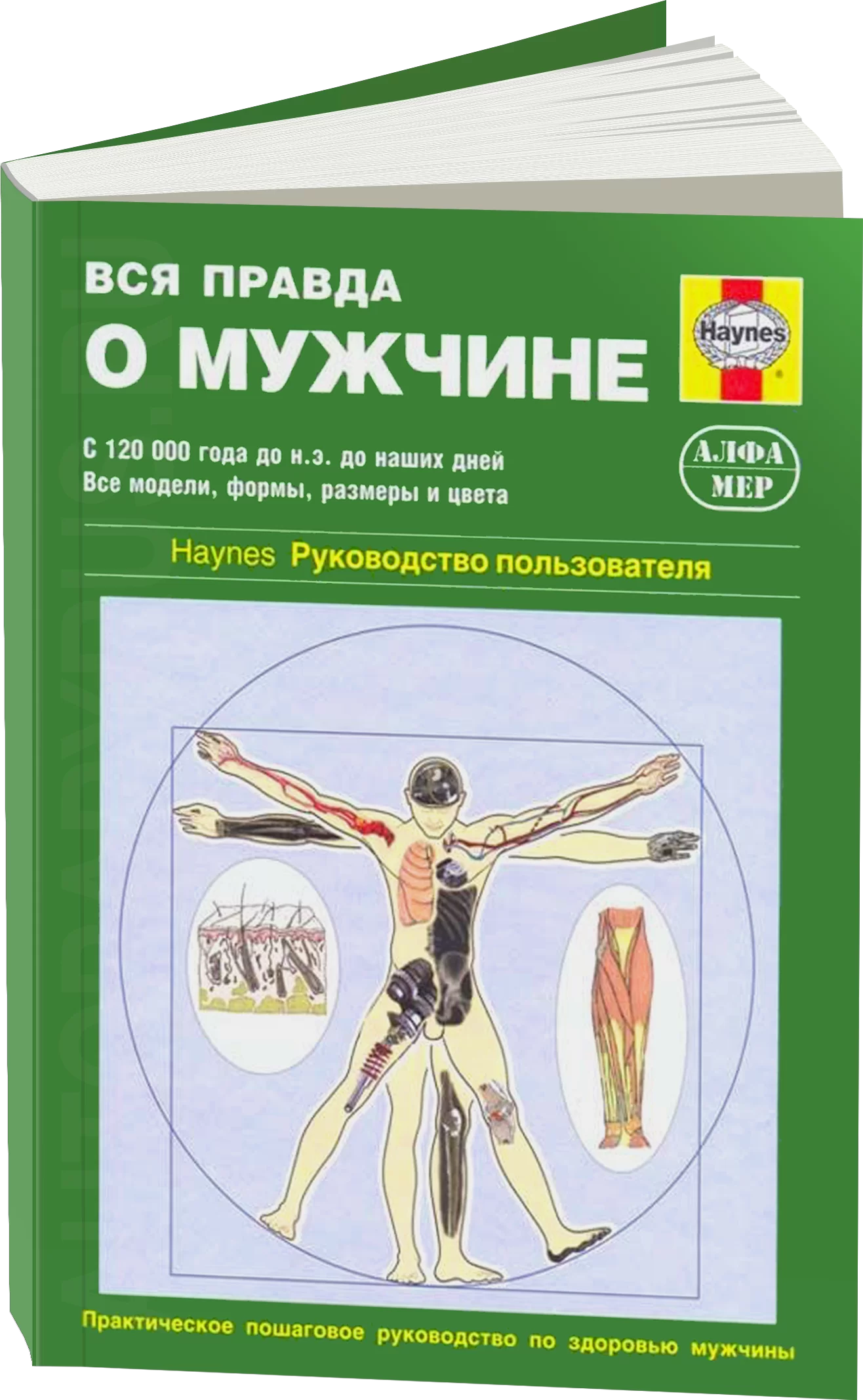 Вся правда о мужчине - руководство пользователя
