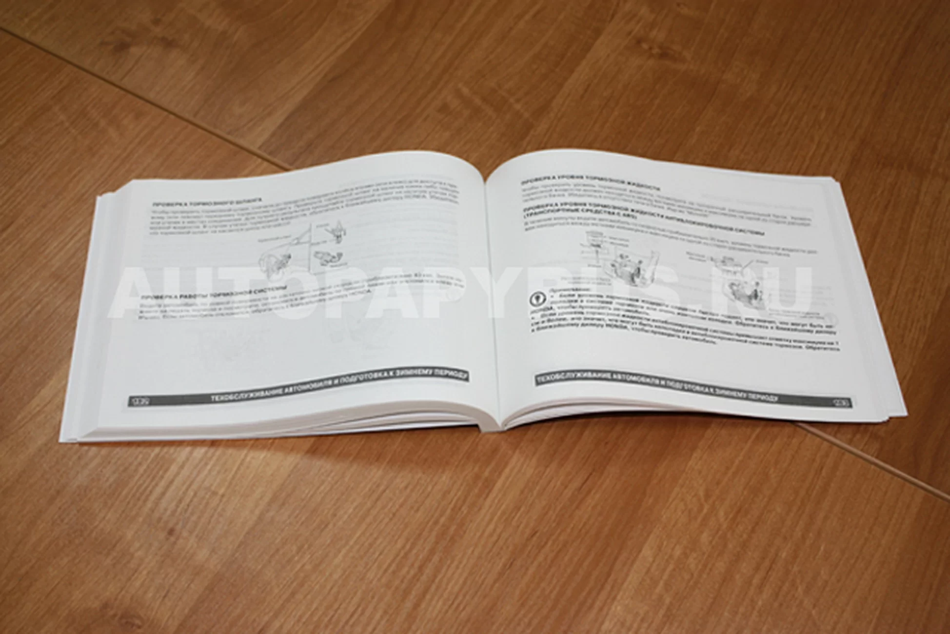 Книга: HONDA ASCOT / RAFAGA 1993-1998 г.в., экспл., то, сер. ВОС. | Монолит