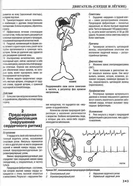 Вся правда о мужчине - руководство пользователя