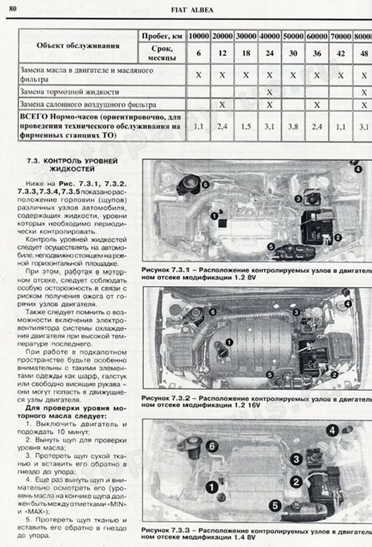 Книга: FIAT ALBEA (б , д) с 2005 г.в., PALIO  / SIENA (б , д) с 1998 г.в., рем., экспл., то | Чижовка
