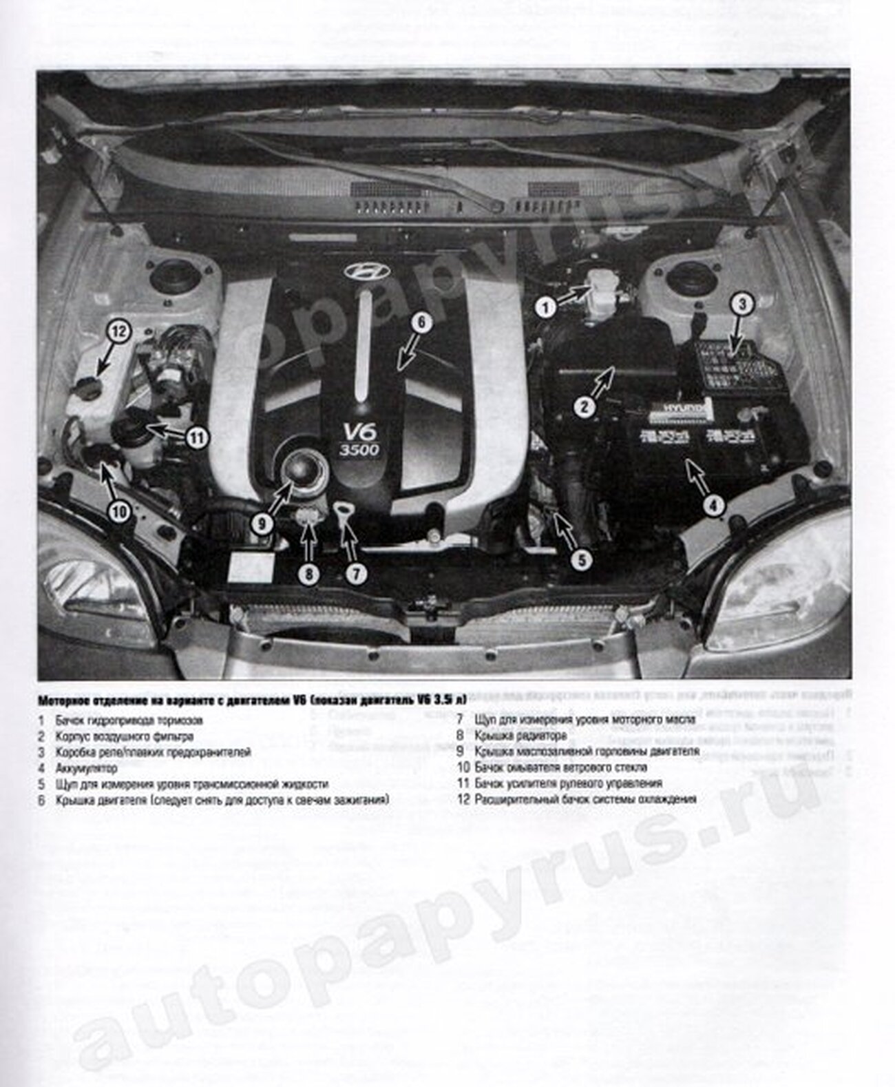 Книга: HYUNDAI SANTA FE  (б) 2001-2006 г.в., рем., экспл., то | Алфамер Паблишинг